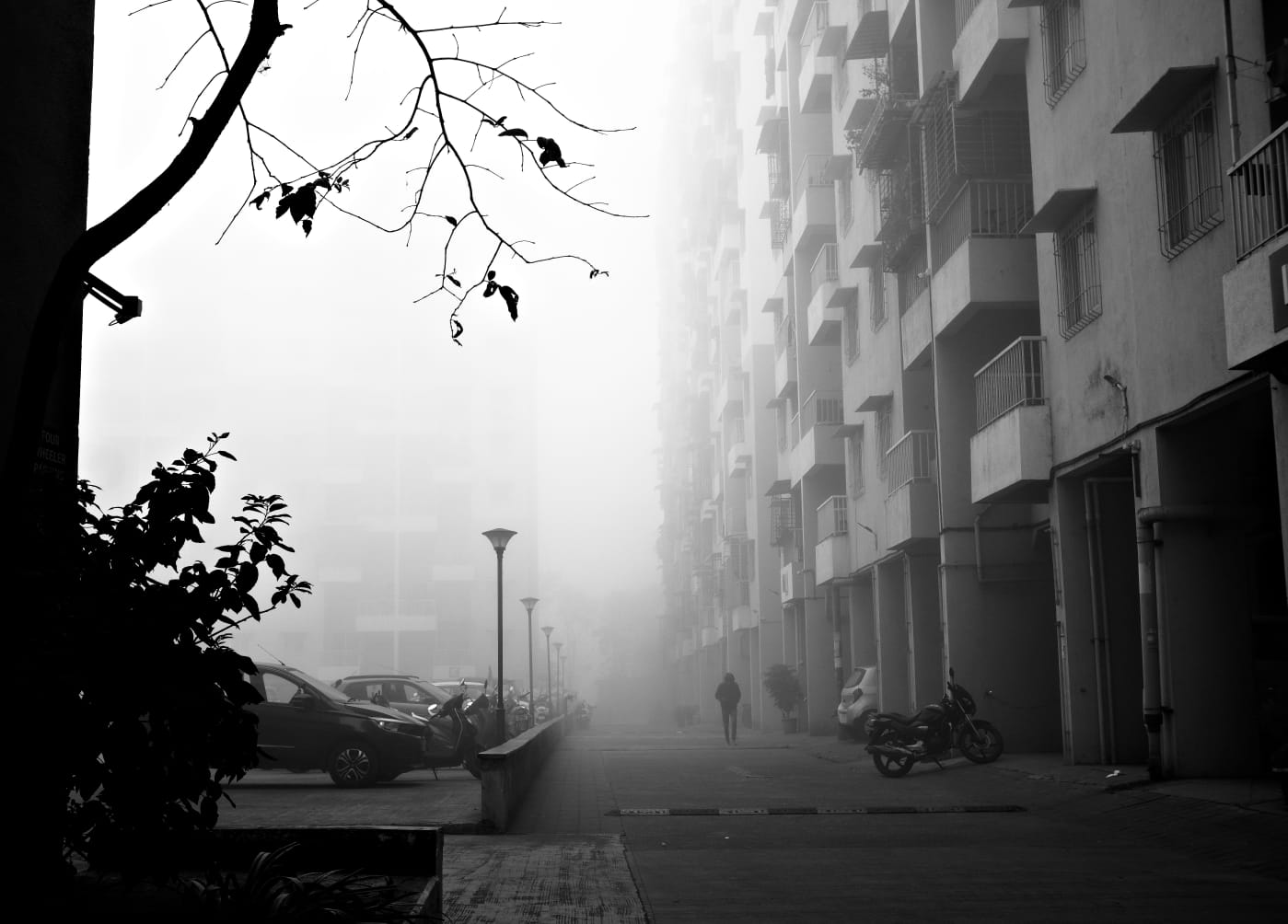 A figure walking away down a fog-filled street between apartment blocks, bare branches in the foreground